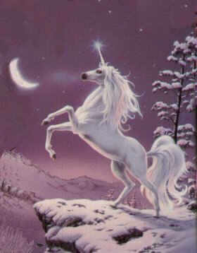 snowunicorn.jpg